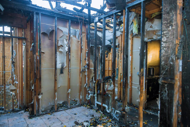 Professional Odor Removal technician working in Newton, NC